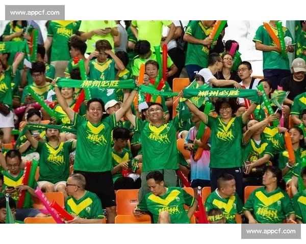 球迷的期待与呐喊，2026世界杯战术的激情碰撞