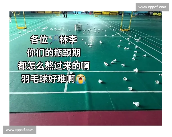 羽毛球,不只是运动,更是一种青春与梦想 羽毛球,不只是运动,更是一种青春与梦想